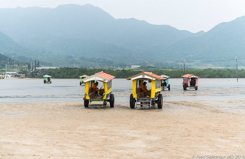 20150322_130908 D4S.jpg - Water buffalo carts on Taketomi Island